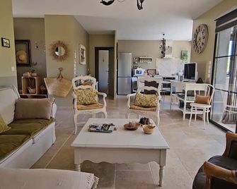 House-Workshop On 2 Ha Wooded Property Private Pool And Jacuzzi - Nans-les-Pins - Soggiorno