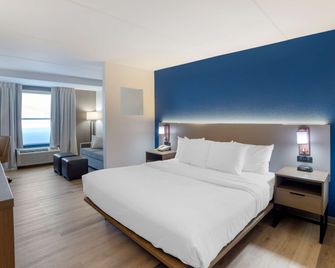 Comfort Inn Asheville Airport - Fletcher - Спальня