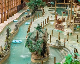 Spend Christmas in the Smoky Mountains! - Gatlinburg - Pool