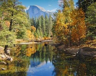 Alder Lodge - Yosemite West - Outdoors view