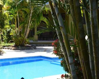 Four Boutique Style Villas In A Rainforest Setting In Playa Hermosa, Puntarenas - Playa Hermosa - Piscina