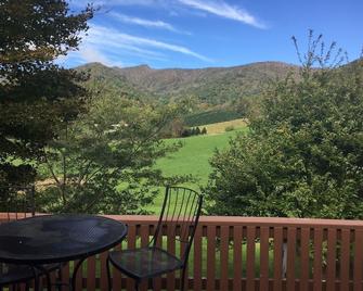 Views! Paved Road! 8 Minutes To West Jefferson, 30 Minutes To Boone, Wifi - West Jefferson - Innenhof