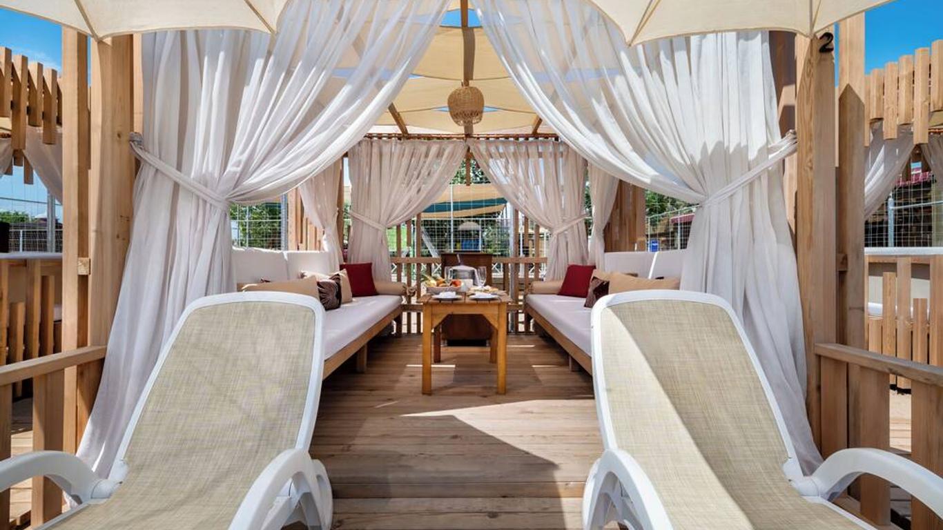 Trendy Verbena Beach