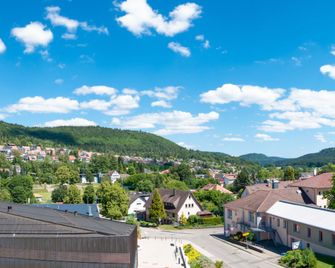 Hotel Schlossberg Wehingen - Wehingen - Outdoors view