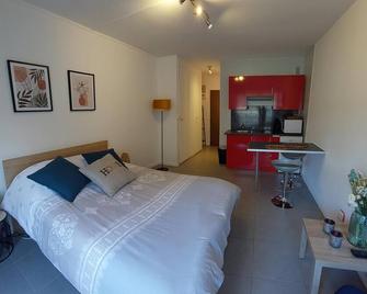 studio vieille ville - Nancy - Bedroom