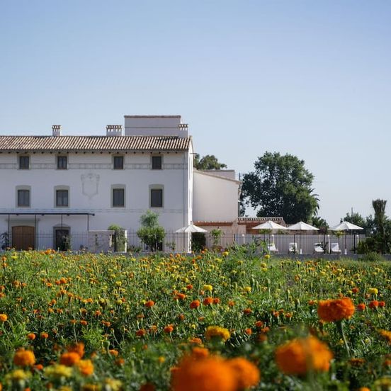 La Mozaira image 1