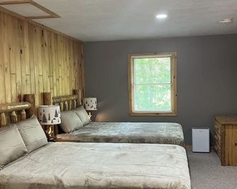 Open Floor Plan Two Queen Bedroom in Manistee National Forest #3 - Wellston - Habitación