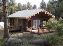 Renegade Log Cabin - Custer - Building