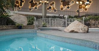 薩斯卡通酒店 - 薩克屯 - Saskatoon/薩斯卡通 - 游泳池