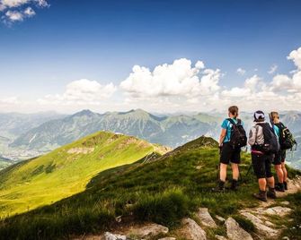 Hotel Gasthof Walcher - Dorfgastein