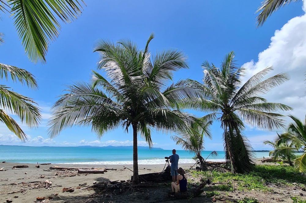 Nereus Retreats - Puerto Jiménez - Beach
