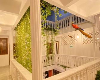 أوتيل باتيو دى جيتسمني - كارتاخينا دي إندياس - غرفة معيشة