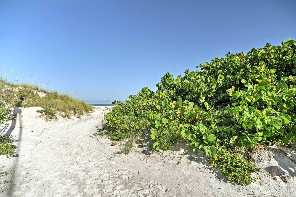 'Sea Turtle Suite' Condo w/ Clearwater Beach Views - Clearwater - Widok na zewnątrz