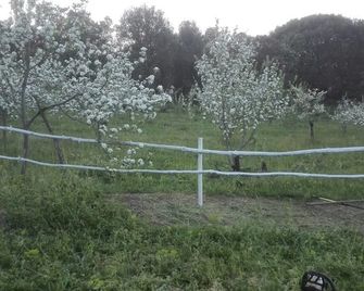 Affittacamere Paradiso - Tempio Pausania