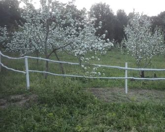 Affittacamere Paradiso - Tempio Pausania