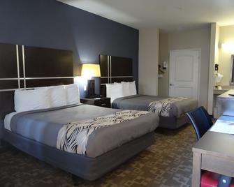 Regency Inn & Suites - Baytown - Baytown - Habitación