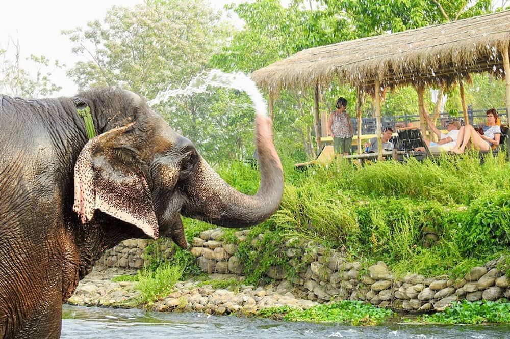 Sapana Village Lodge - Sauraha