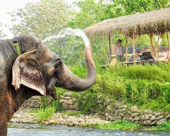 Sapana Village Lodge - Sauraha