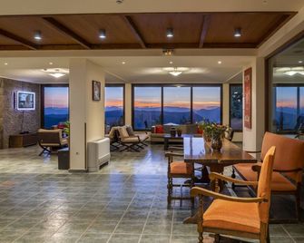 Anemolia Mountain Resort - Arachova - Salónek