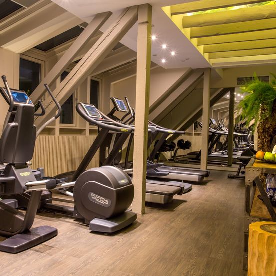 Gym view of Excelsior Hotel Ernst