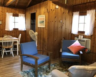 Cozy 'Beach' Cabin in the woods with Pentwater Lake frontage and access - Pentwater - Living room