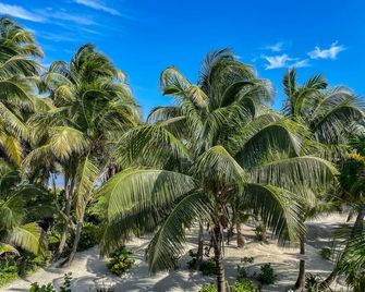 North Beach Retreat - San Pedro Town - Beach