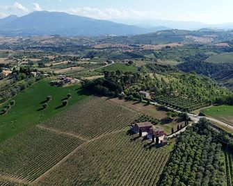 Cantina D'Erasmo - Offida - Outdoor view