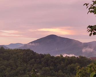 Antler Ridge 4x4 needed for this cabin - Hiawassee - Outdoors view