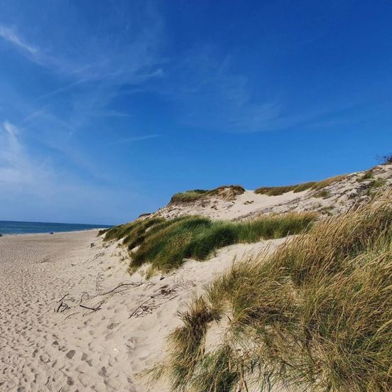 10 person holiday home in Ulfborg-By Traum – Ulfborg