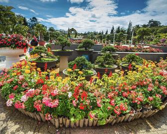 Mr Rot's Secret Hotel - Dalat - Outdoors view