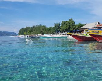The Rabbit Tree Hostel - Pemenang