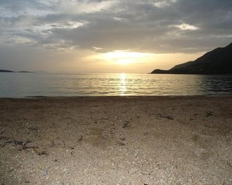 Almini Apartments - Igoumenítsa - Beach