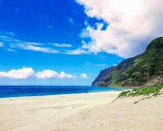Beautiful 3 br 8 Kekaha Beach house! - Kekaha - Beach