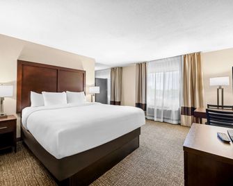 Comfort Inn and Suites Pueblo - פואבלו - חדר שינה