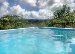 Fischer's Berghof, 2 Houses + Pool, Great Mountain View, Good For Relax Or Work - Siquijor - Basen