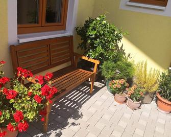 Apartements Richlegghof - Filzmoos - Patio