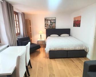 Boël 3 studio - Ginebra - Habitación