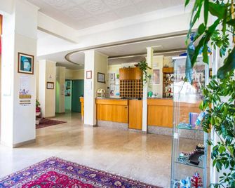 Delfino - Senigallia