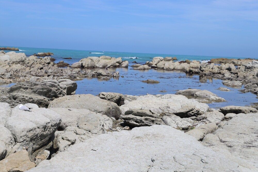 Sierra Beachfront Motel - Kaikoura