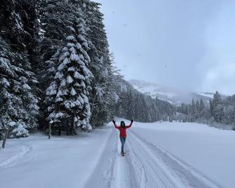 Unique living with conservatory and sleeping on the gallery - كيرتشبرغ ان تيرول - وسائل الراحة في مكان الإقامة