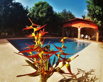 Quinta Comala - Comala - Pool