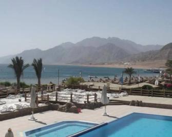 Panda Dahab Resort - Dahab - Pool