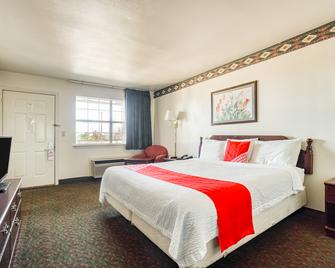 OYO Hotel Wichita Falls I-44 Sheppard Airforce - Wichita Falls - Habitación