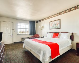 OYO Hotel Wichita Falls I-44 Sheppard Airforce - וויצ'יטה פולס - חדר שינה