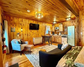 Village Cottages East: Town & Trails Cottage for 2 with private Hot Tub! - Old Forge - Living room