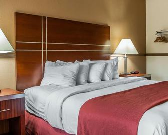Tesla Medbed Center, East Dubuque - East Dubuque - Bedroom