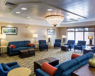 Comfort Inn Ottawa Kansas - Ottawa - Lounge