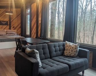 Modern Cloudland Cabin, 1.5 miles of private trails through 10 acres of woodland - Rising Fawn - Living room