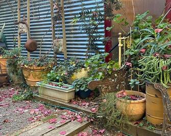 This pet friendly retreat is excellent to relax over looking a \'rain forest\'. - Corowa - Outdoor view
