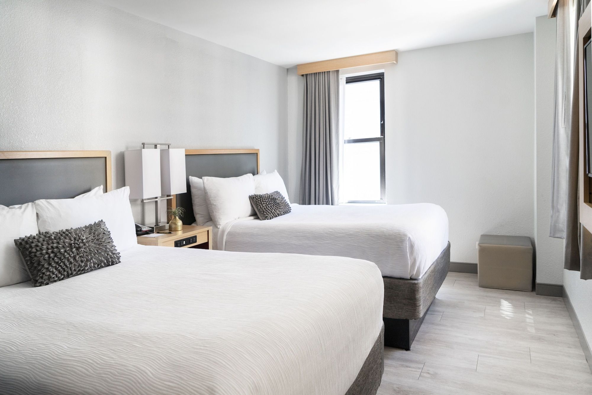 Hotel Saint Clair - Magnificent Mile - Chicago - Habitación